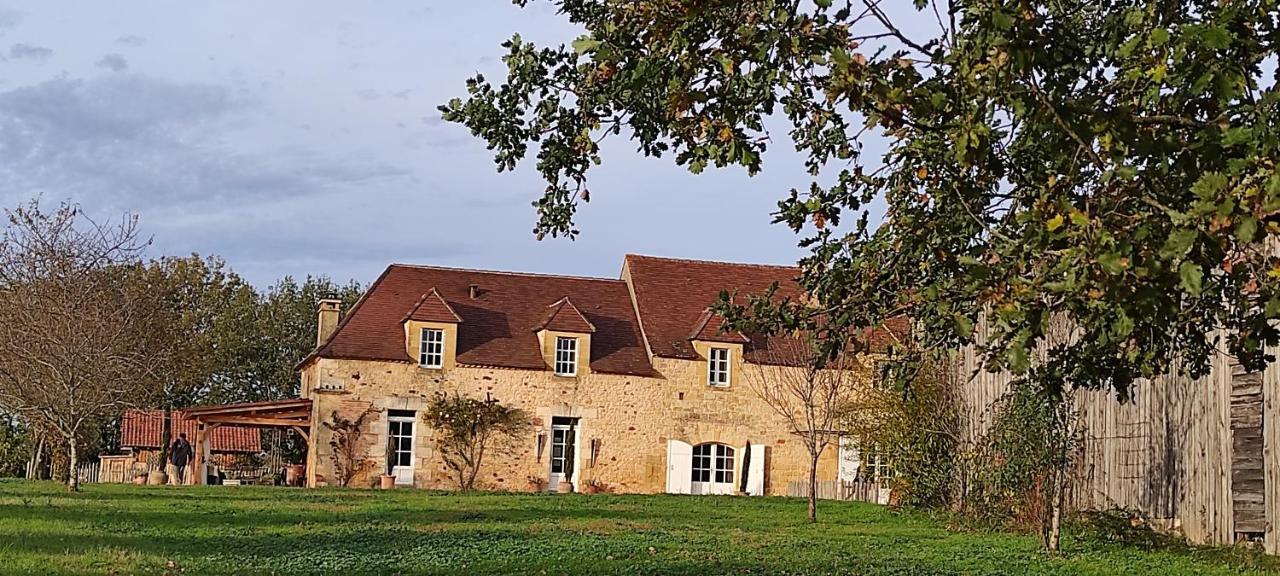 Bed and Breakfast Britavit Saint-Avit-Sénieur Zewnętrze zdjęcie