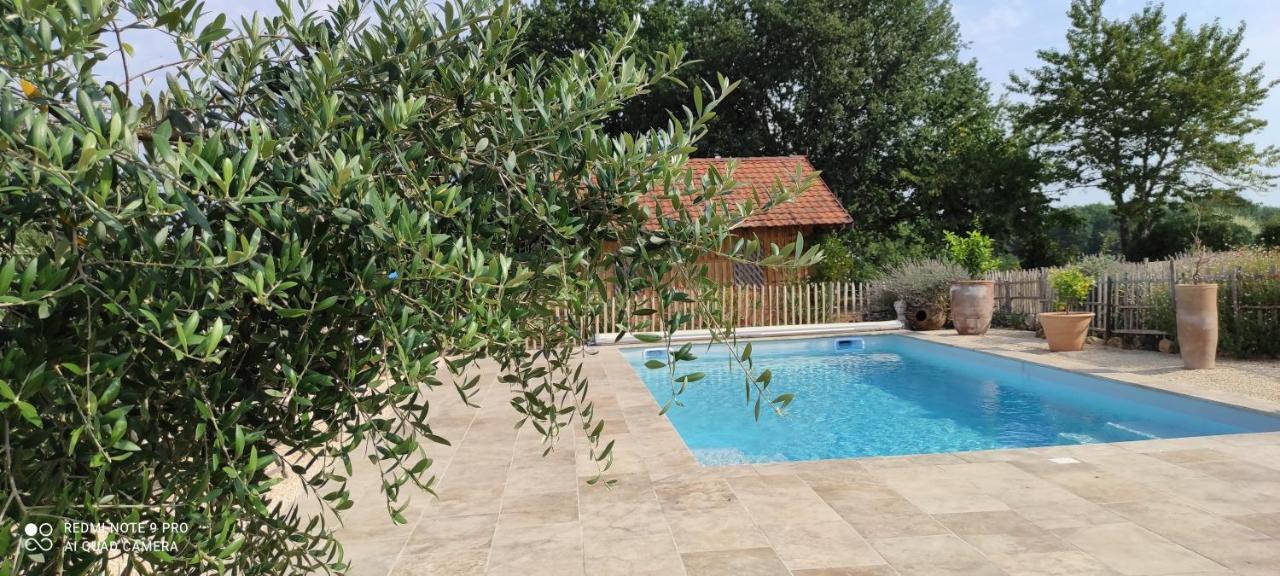 Bed and Breakfast Britavit Saint-Avit-Sénieur Zewnętrze zdjęcie