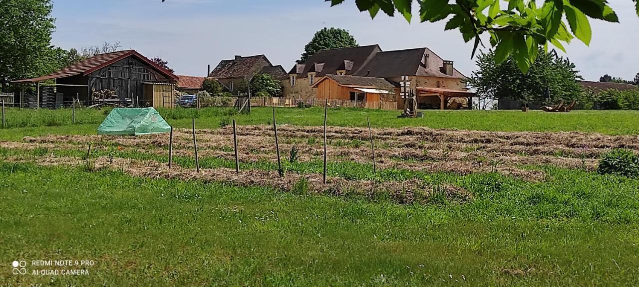 Bed and Breakfast Britavit Saint-Avit-Sénieur Zewnętrze zdjęcie
